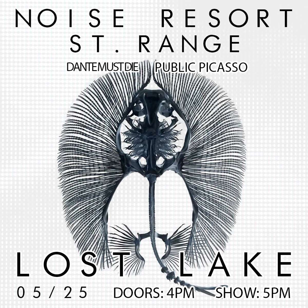 Noise Resort w/ St. Range, Dante Must Die + Public Picasso